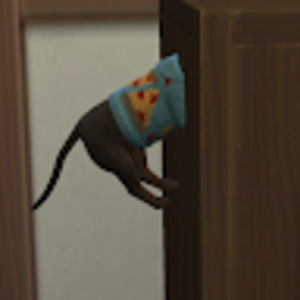 Meet your Posher, Judith